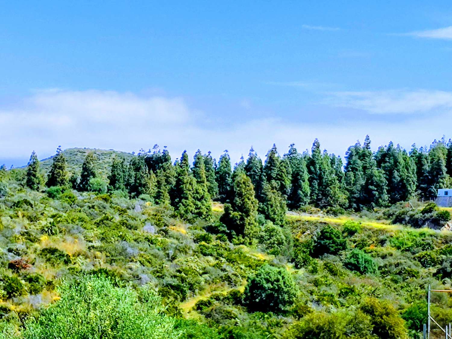 Atico de 2 dormitorios vistas 180 al mar