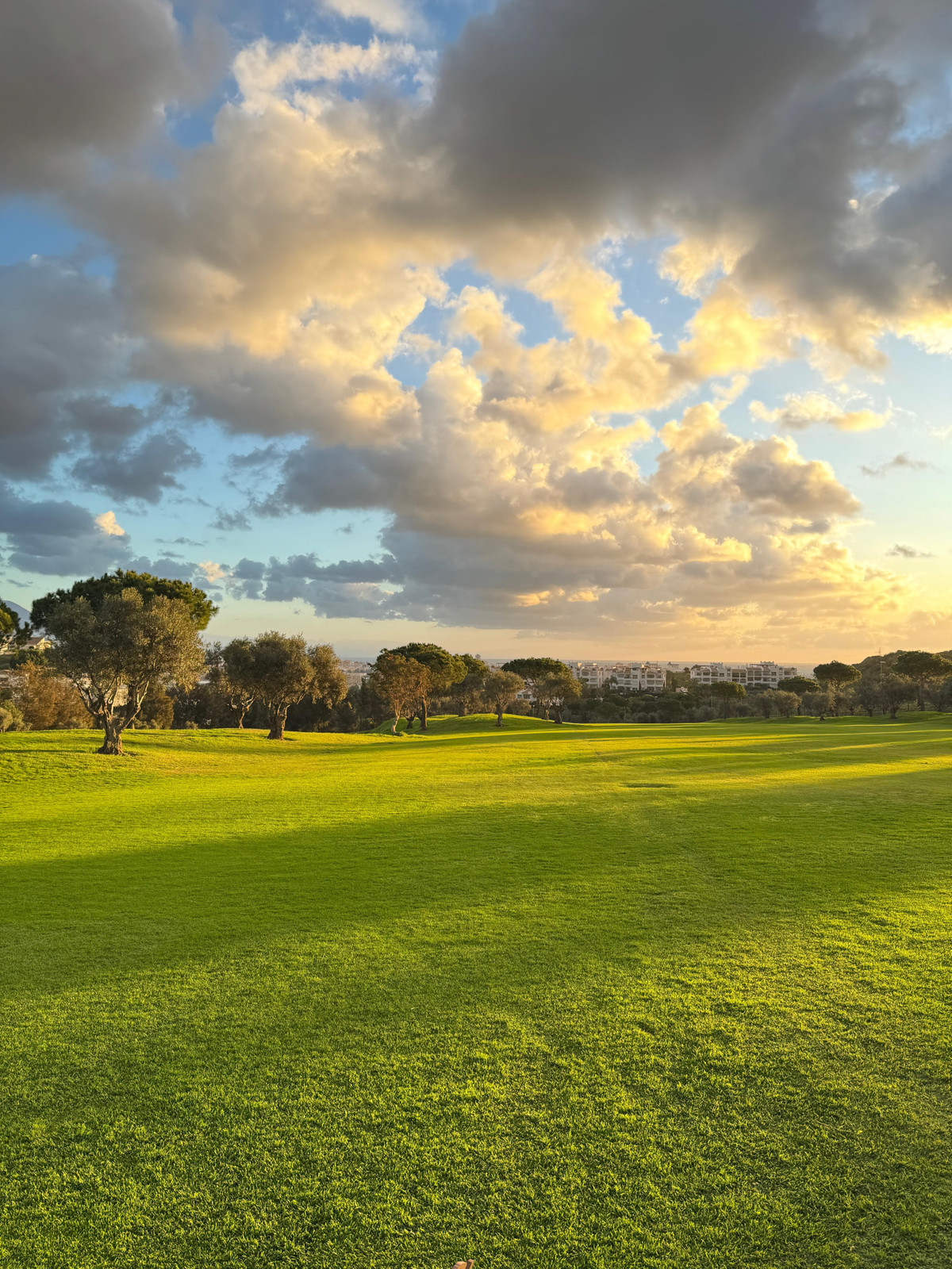 Apartamento en venta en Mijas